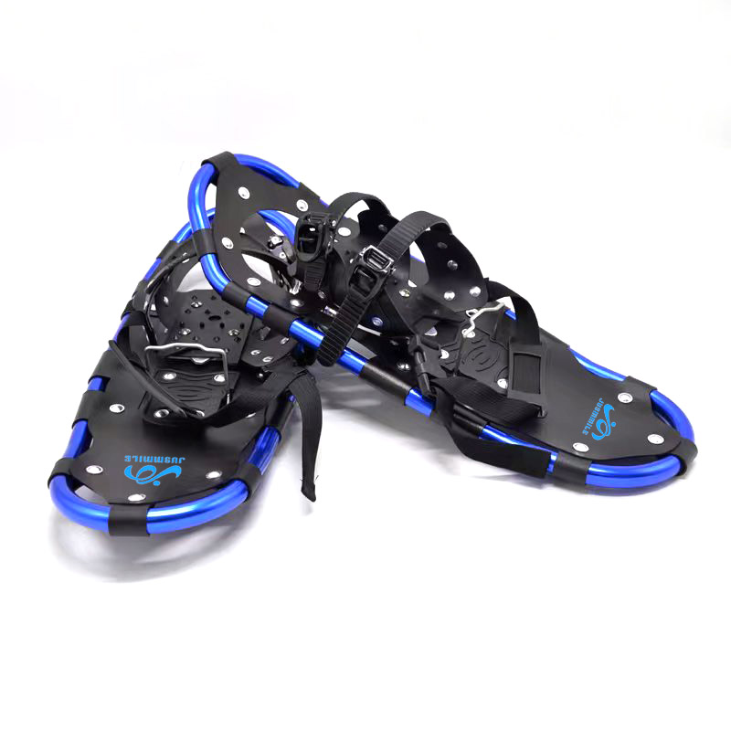 Winter Ski Snow Shoes