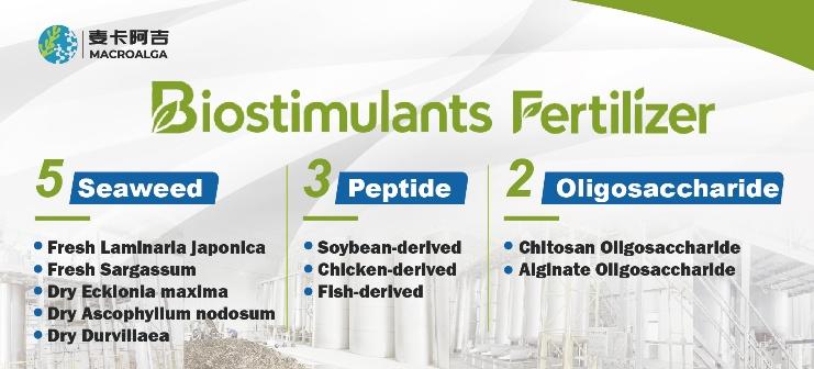 China Biostimulants: Which One Is Actually Good?