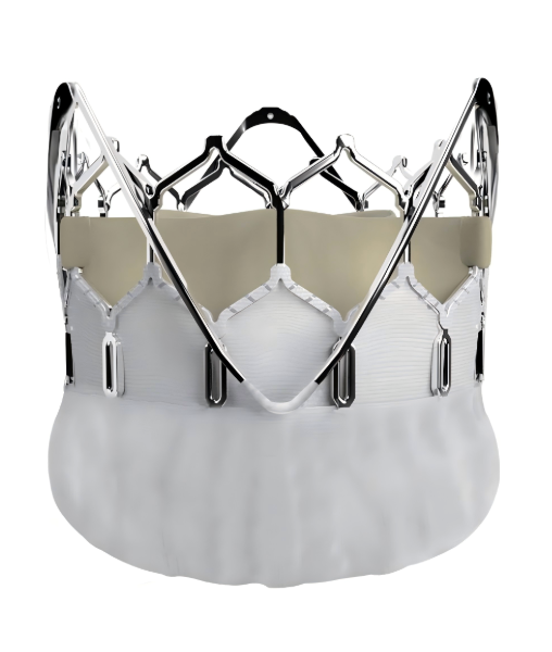 Transcatheter Aortic Valve Factory Innovations Powering Next-Gen Heart Valve Production